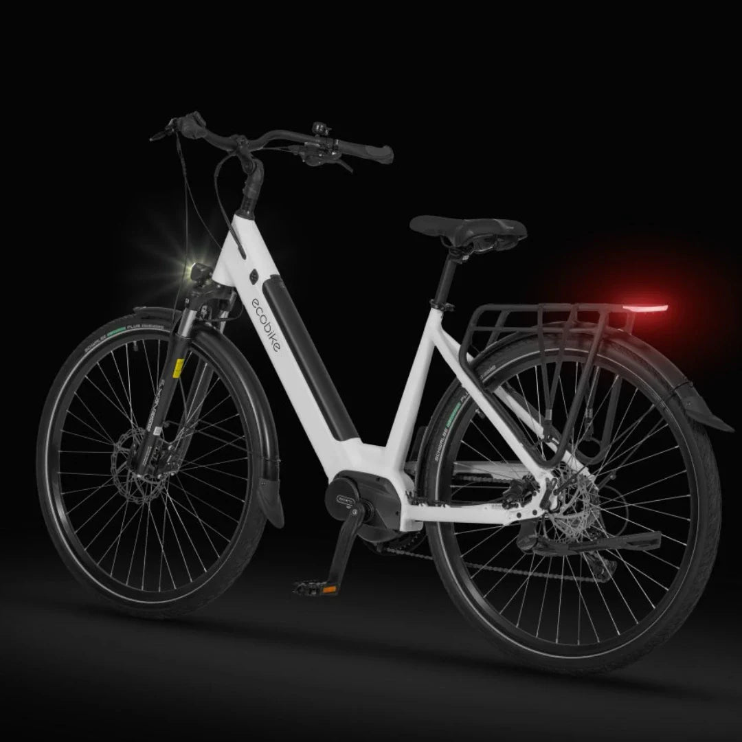 Electric Bike Ecobike Lx 100, sleek design, LED lights, disc brakes, rear rack, modern and efficient.
