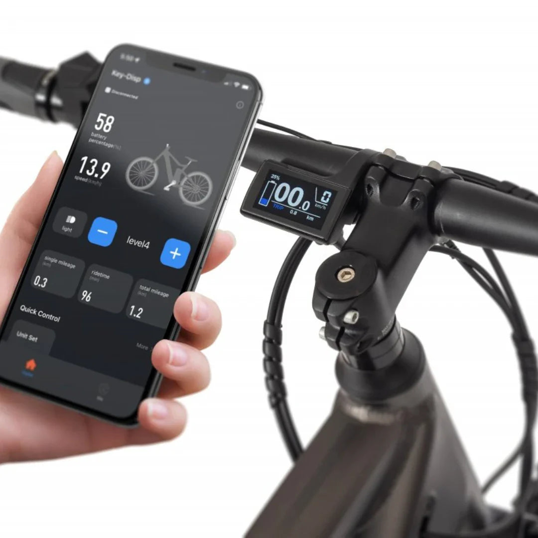 Mountain Electric Bike Ecobike Sx300, smartphone app connected, digital display shows speed and battery.