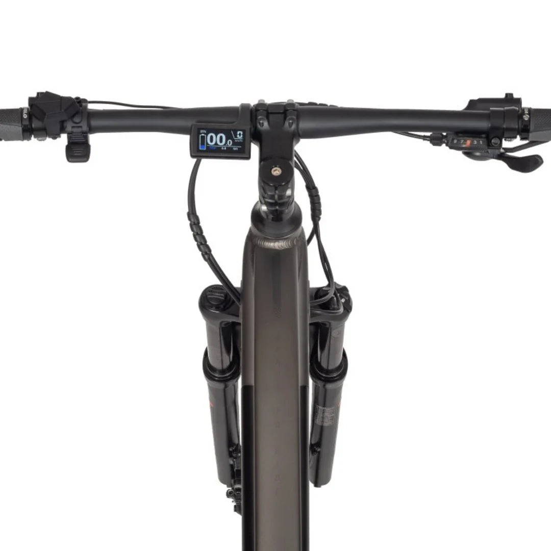 Mountain Electric Bike Ecobike Sx300, sleek handlebars with display, front suspension forks, durable design.