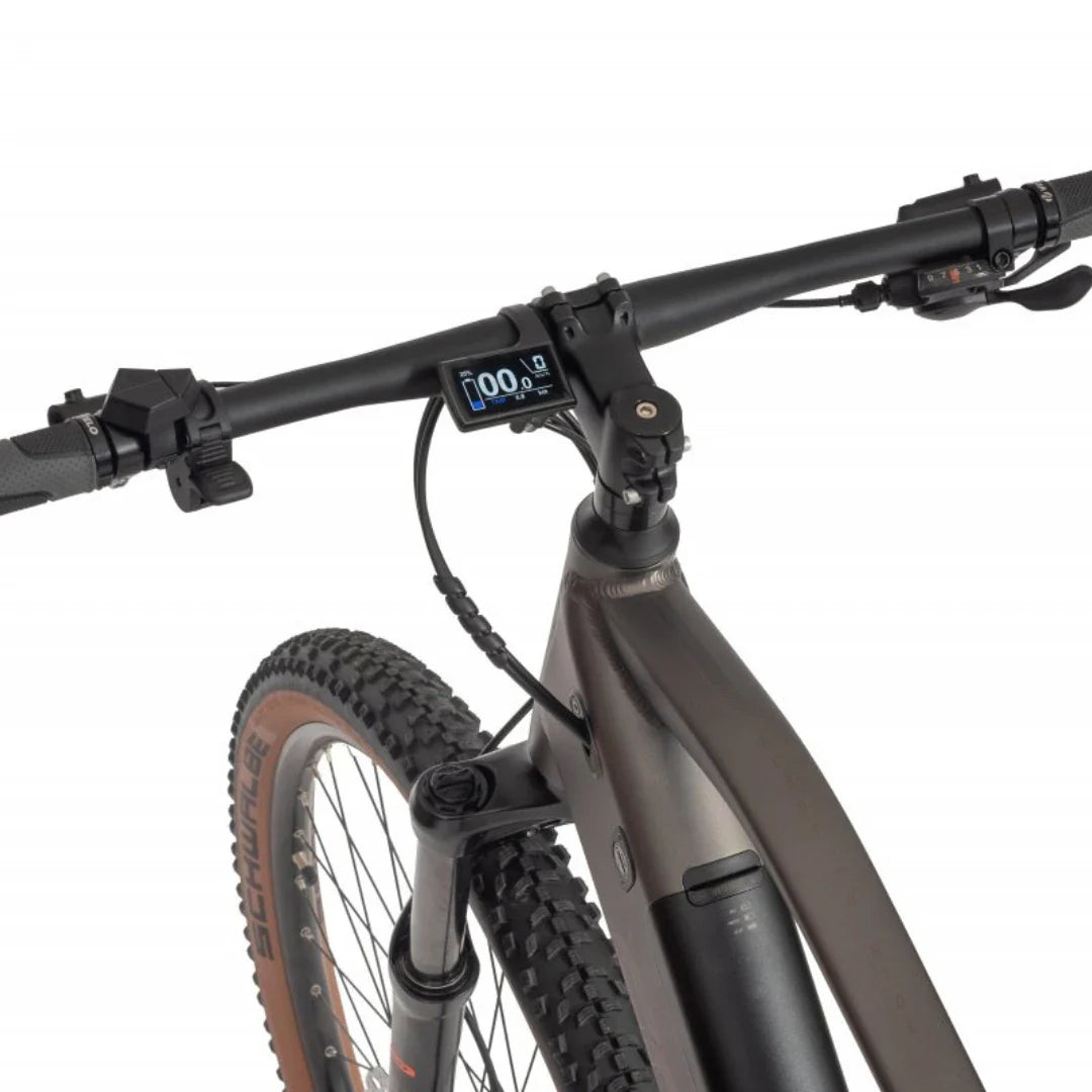 Mountain Electric Bike Ecobike Sx300, features modern handlebars, digital display, and rugged tires.