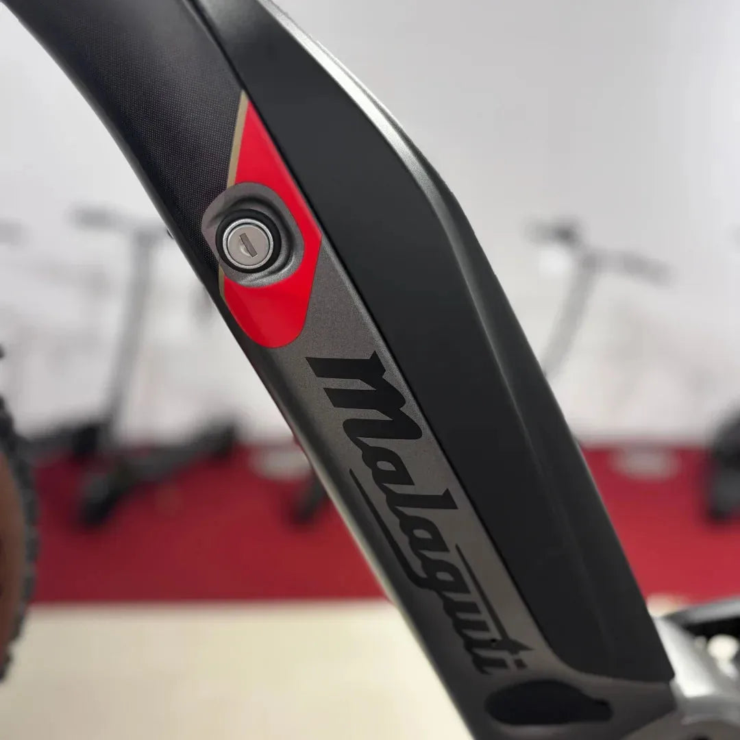 MALAGUTI Carezza TR 4.0-BOSCH Motor