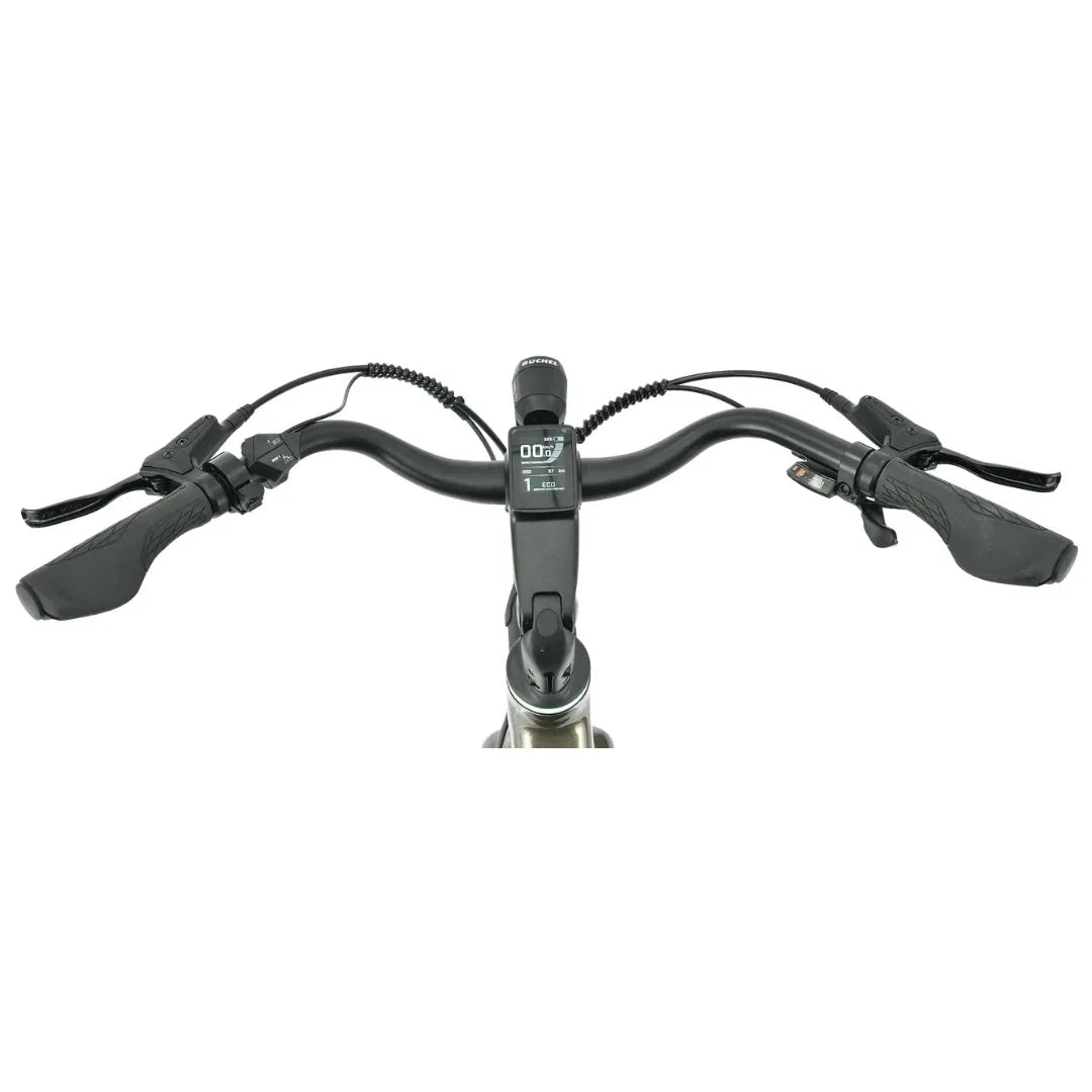 MS Energy Zorya
