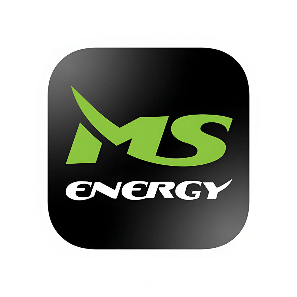 Electric Scooter Spare Parts MS Energy