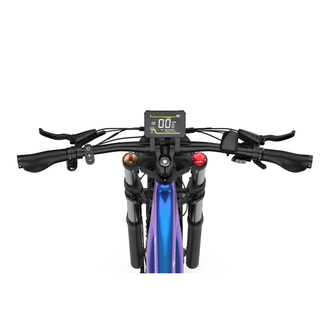 Electric Bike Duotts E26, top view of handlebars with digital display, grips, and control buttons.