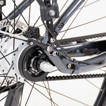 Electric Bike Econo Mare City Eecalk Auto, close-up of the rear hub and drivetrain components.