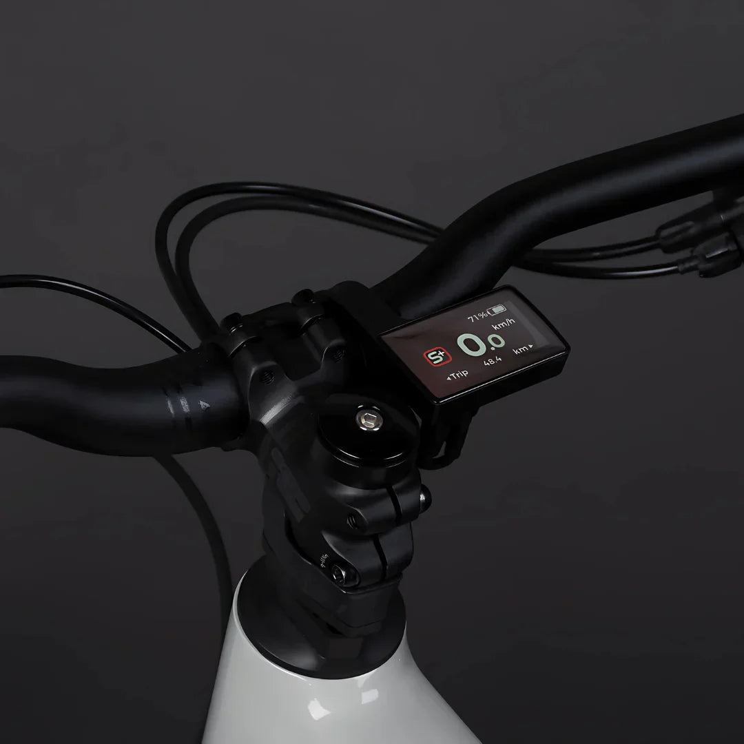 Electric bicycle Econo Pantera C6 120 – handlebar and display close-up