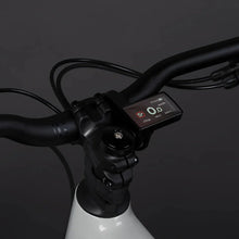 Econo Pantera C6 120