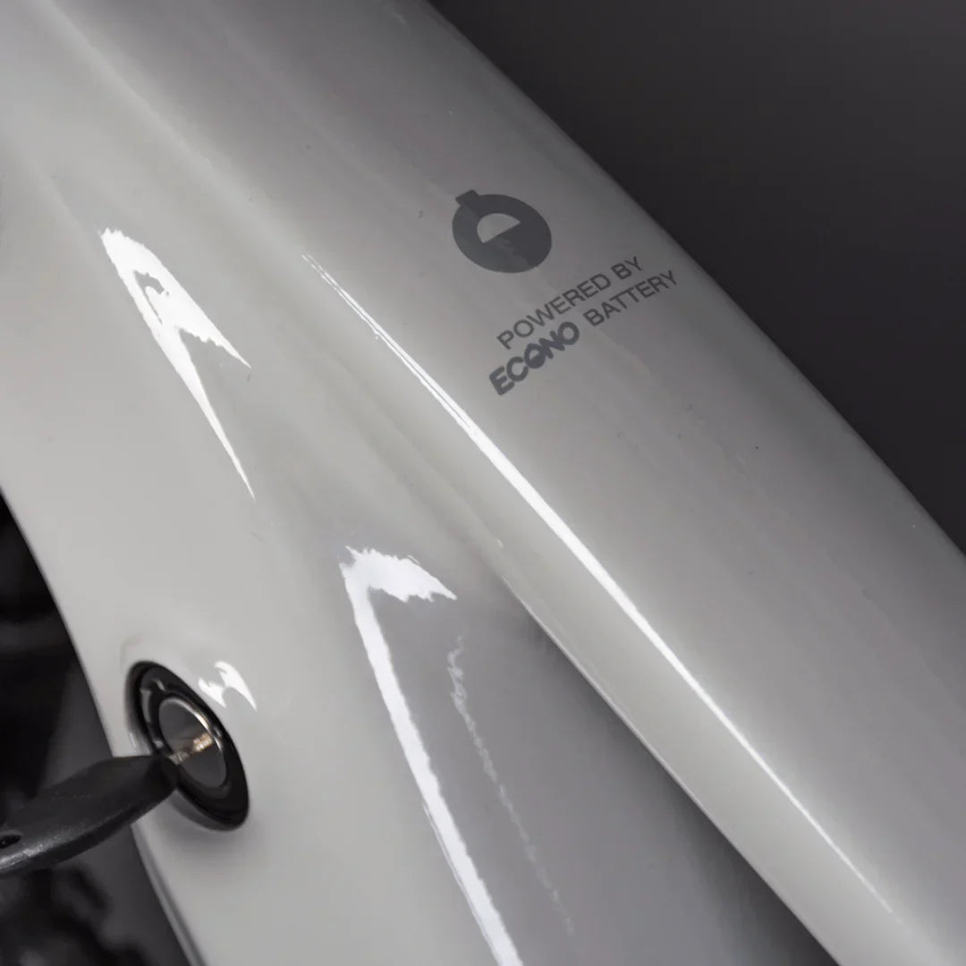 Electric bicycle Econo Pantera C6 120 – battery compartment and branding