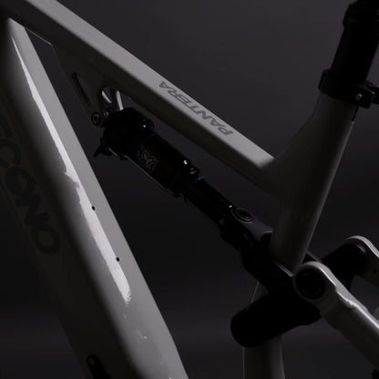 Econo Pantera C6 120