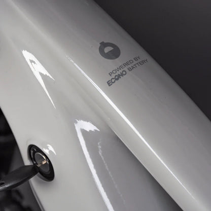 Mountain Electric Bike Econo Pantera C8 140, sleek frame detail, Econo battery branding, key ignition slot.