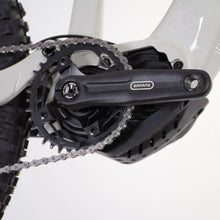 Close-up of the crankset and motor of the mountain electric bike Econo Pantera C9 160
