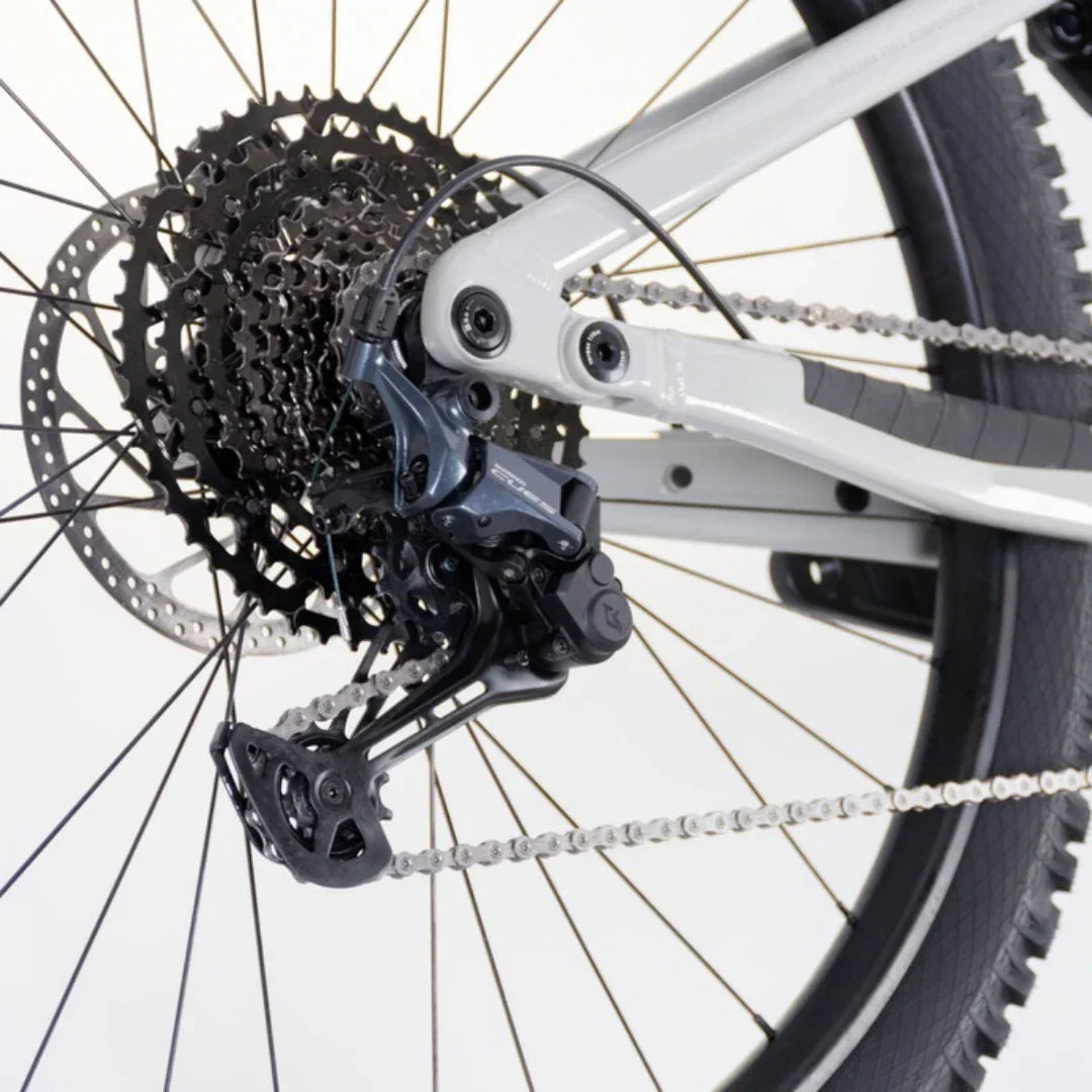 Electric bicycle ECONO Pantera C9 160 – rear wheel, cassette, and derailleur close-up
