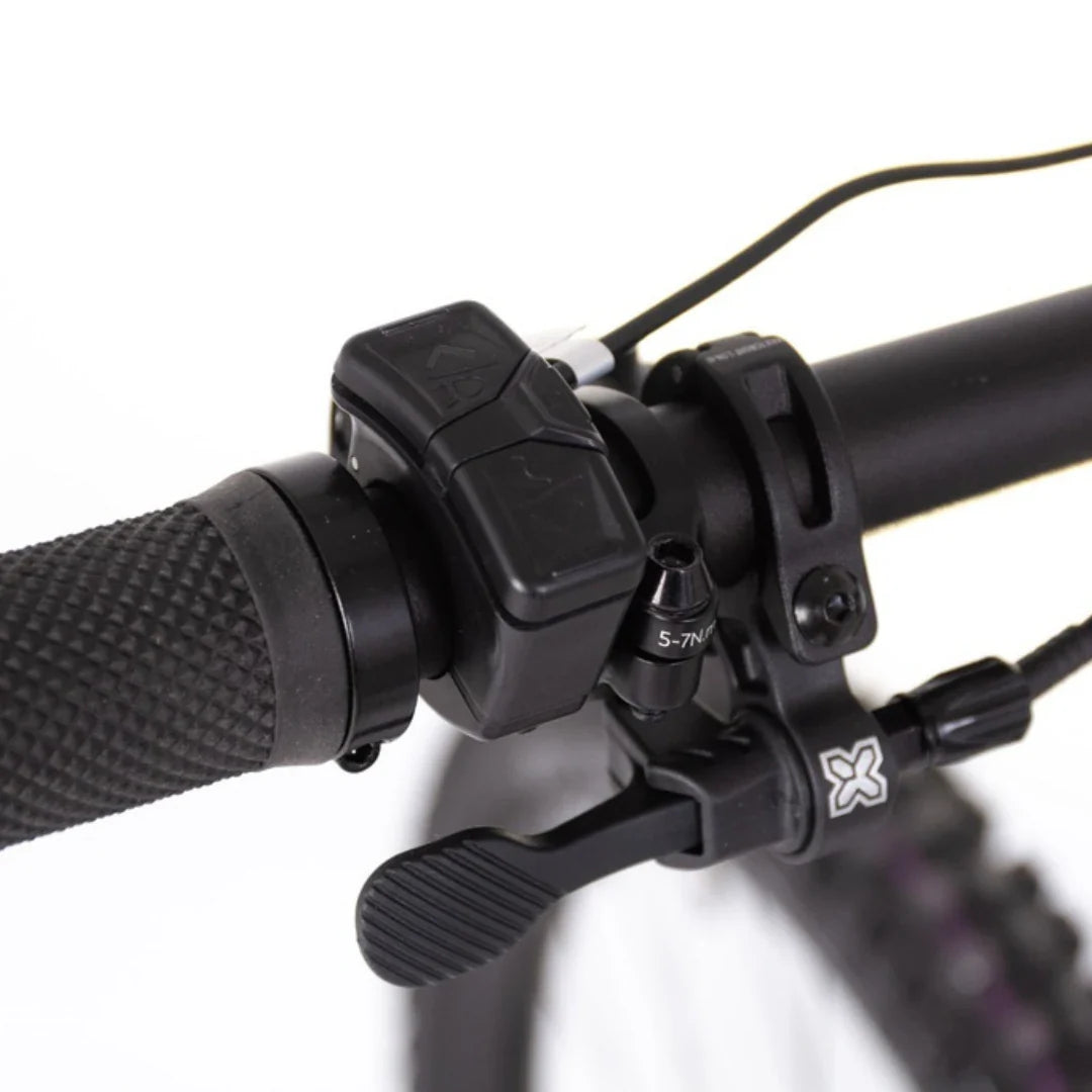 Mountain Electric Bike Econo Pantera C9 160, close-up of handlebar controls and textured grip.