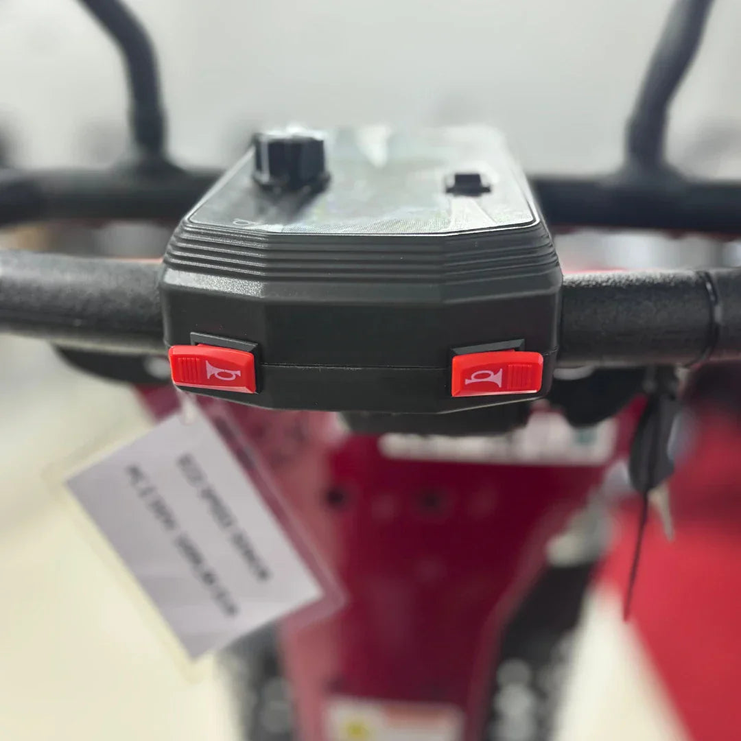 ECO Speed Senior – dashboard horn buttons close-up