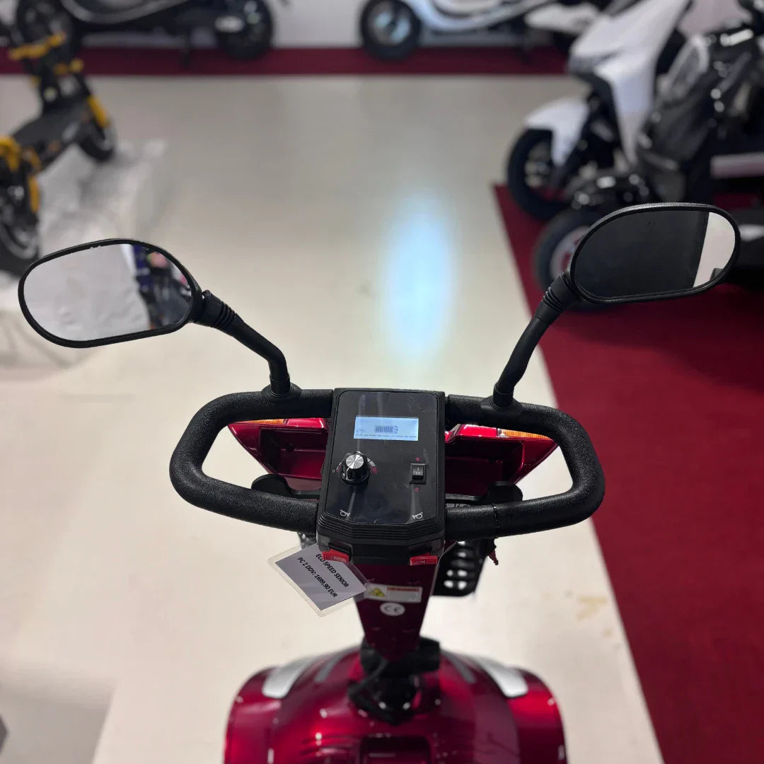 ECO Speed Senior – dashboard and mirrors front view