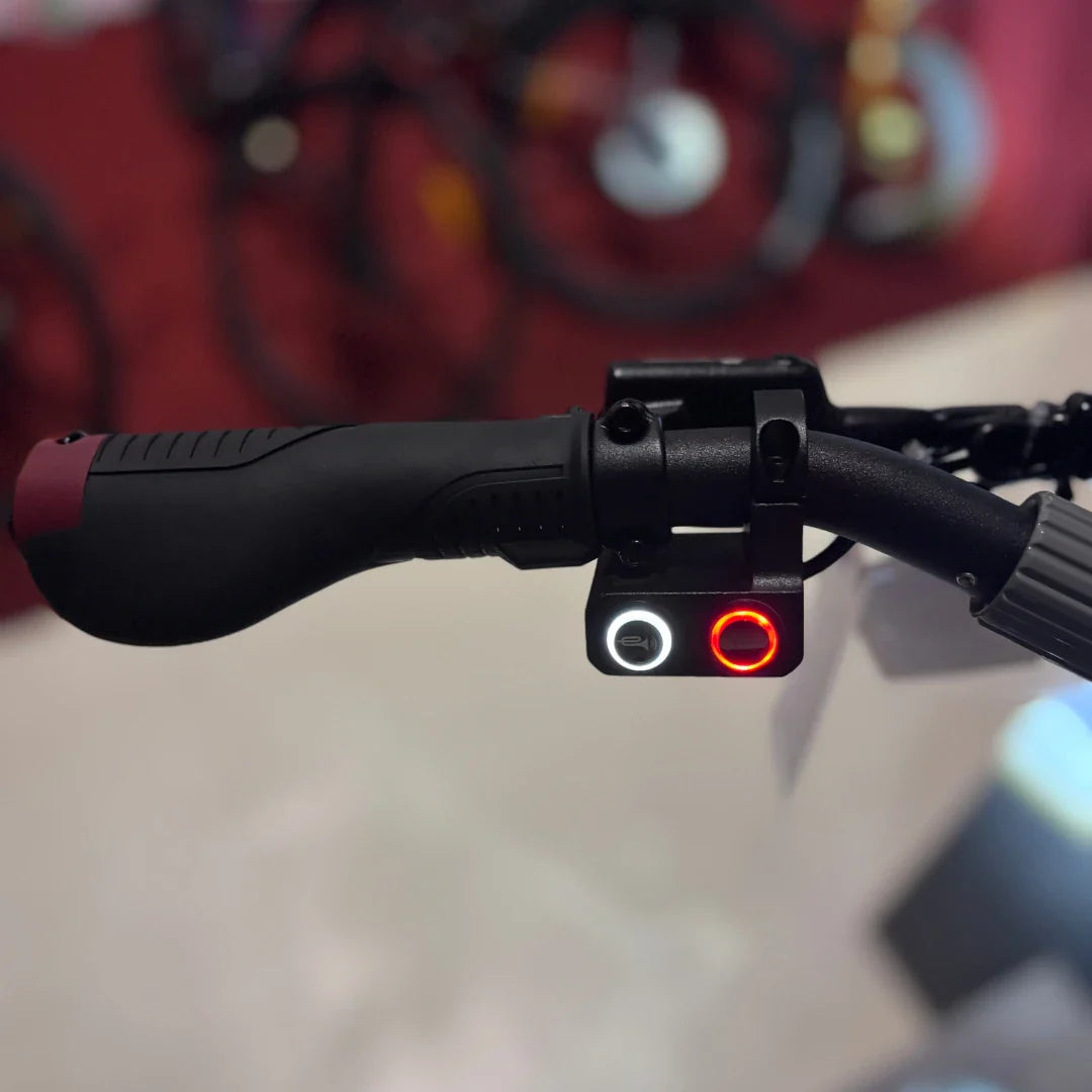 Electric Scooter Eco Speed 10x V2 features a comfortable ergonomic grip and an intuitive control panel.