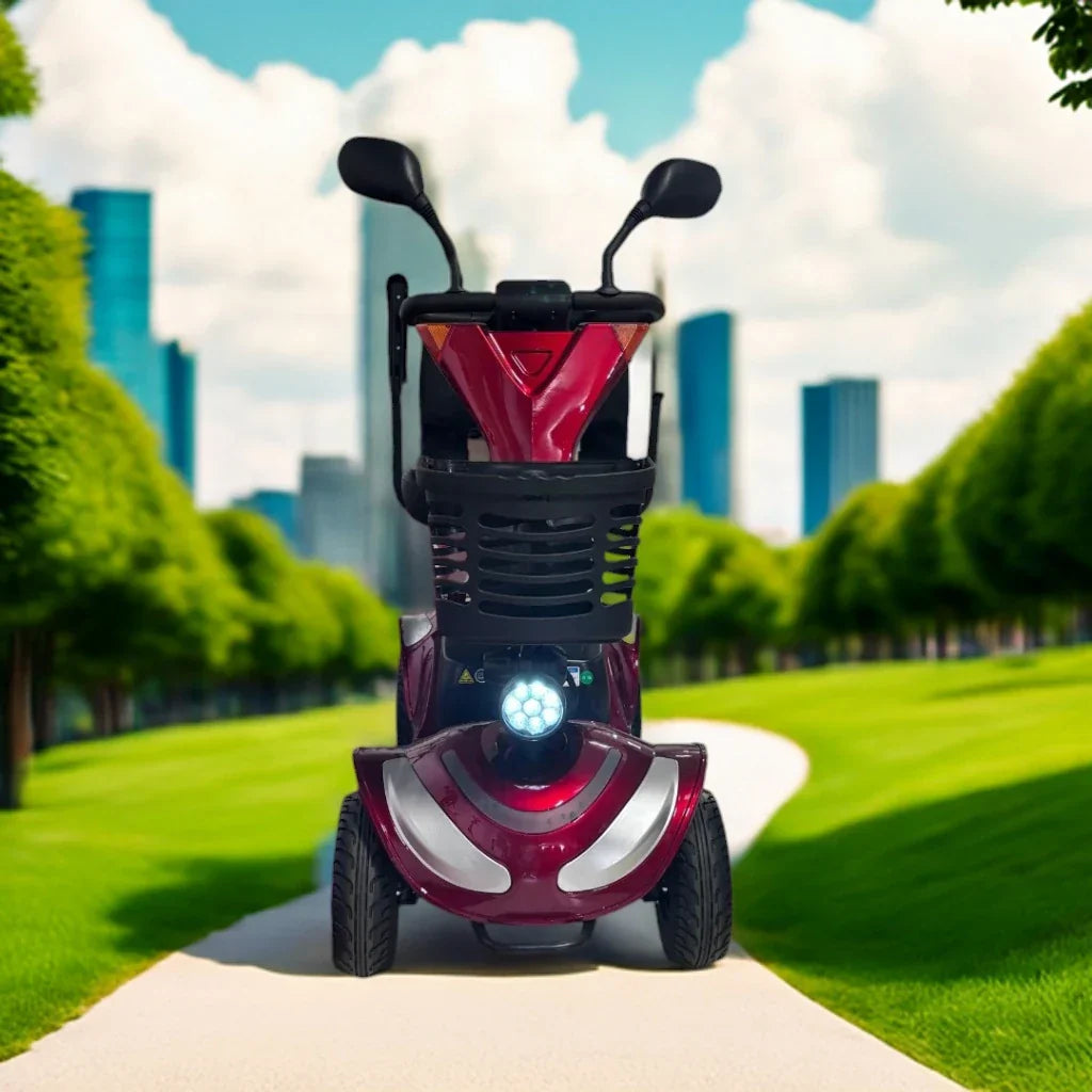 ECO Speed Senior – front view on park path
