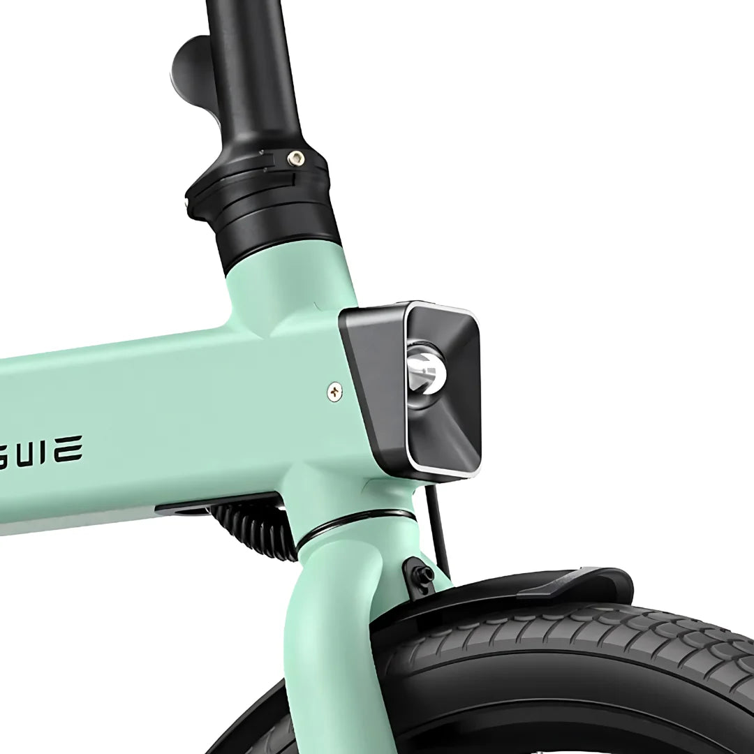 Engwe P20