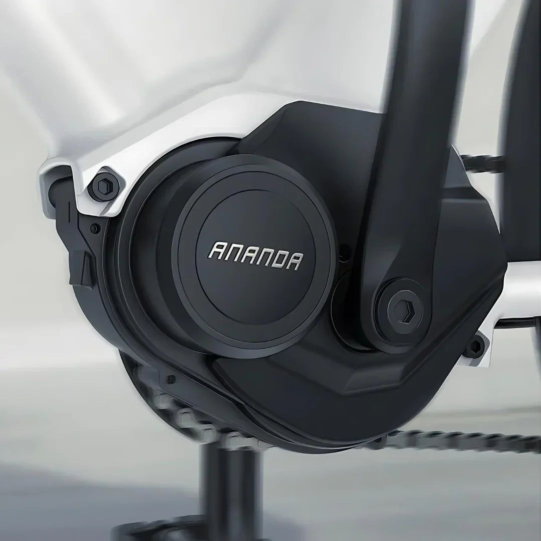 Electric bicycle Engwe P275 ST – ananda mid-drive motor close-up