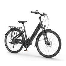 Ecobike LX 100