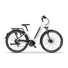 Ecobike LX300