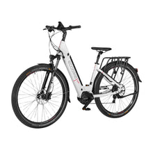 Ecobike LX300