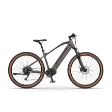 Ecobike SX300