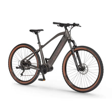 Ecobike SX300