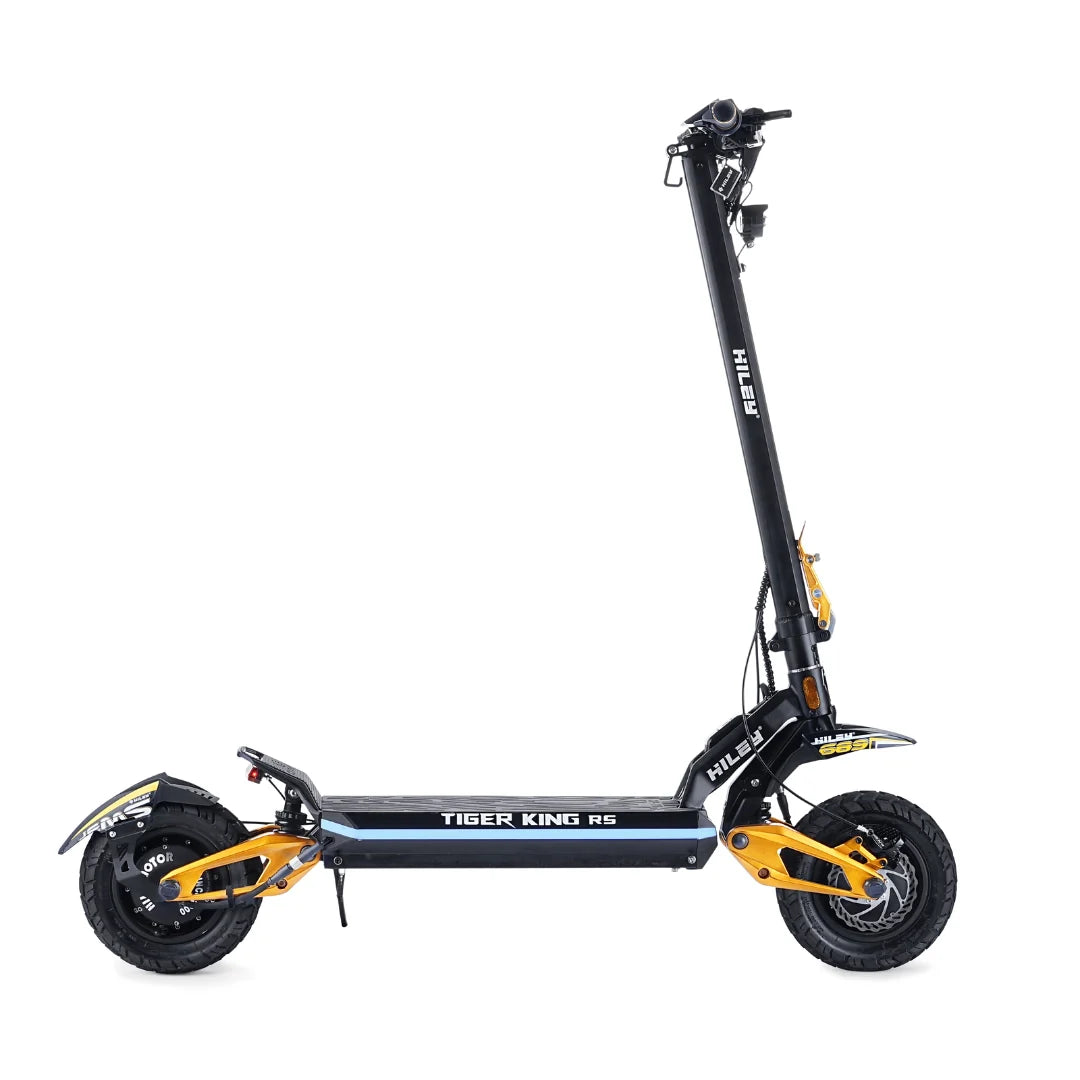 Electric scooter Hiley TIGER KING RS – side view, standing
