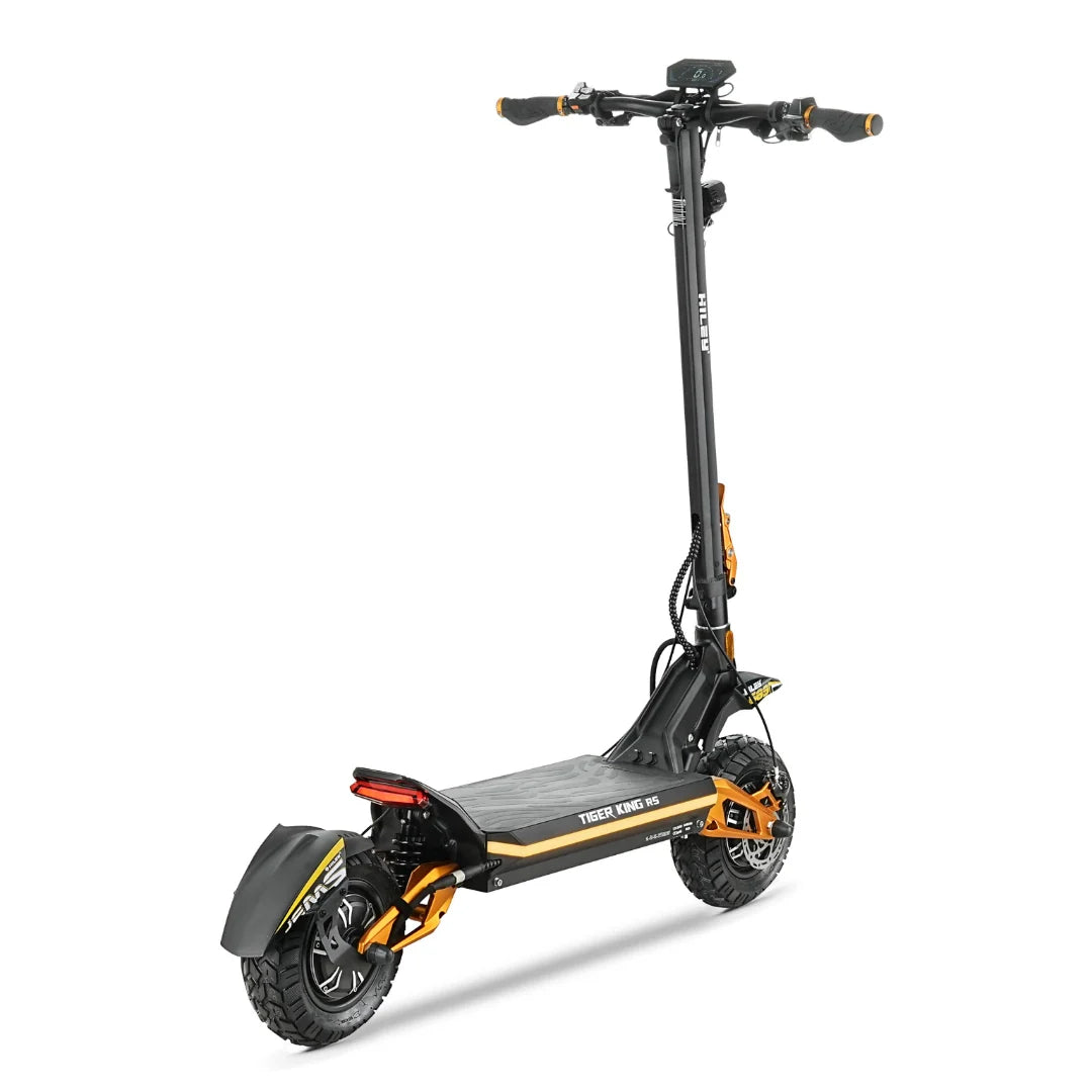 Electric scooter Hiley TIGER KING RS – rear three-quarter view, standing