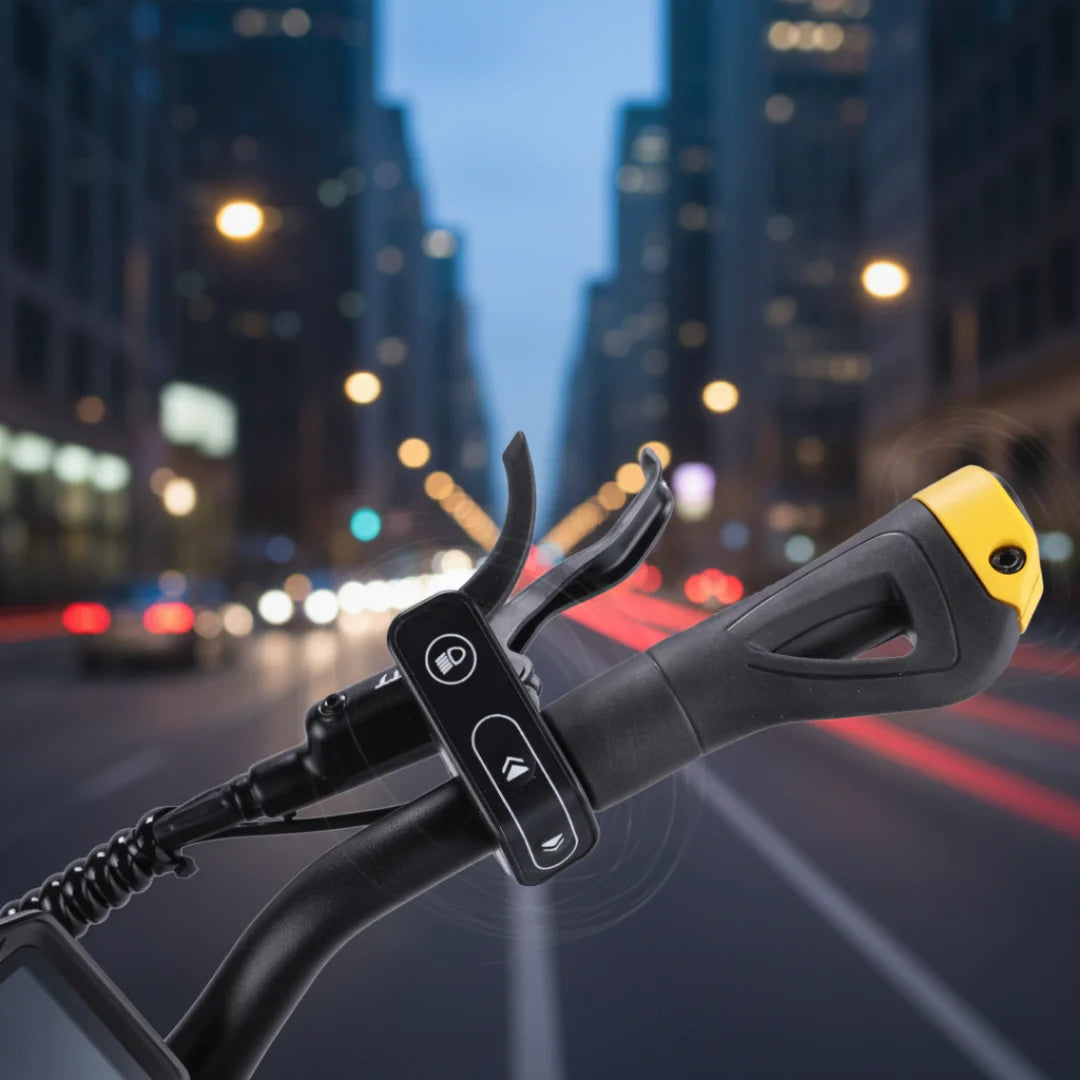 Elektroroller VSETT 10 LIGHT – Lenkersteuerung mit Stadthintergrund