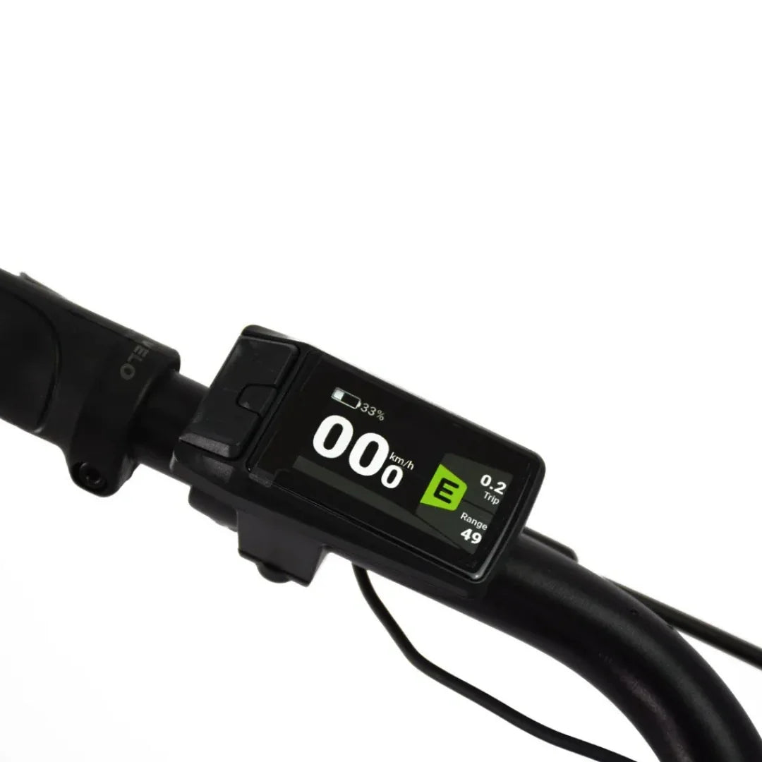 ECONO Apes CITY EER4 2026