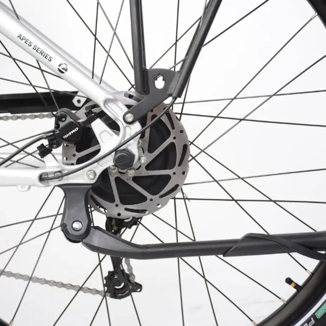 ECONO Apes CITY EER4 2026