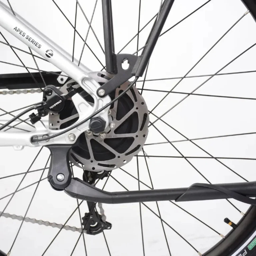 ECONO Apes CITY EER4 2026