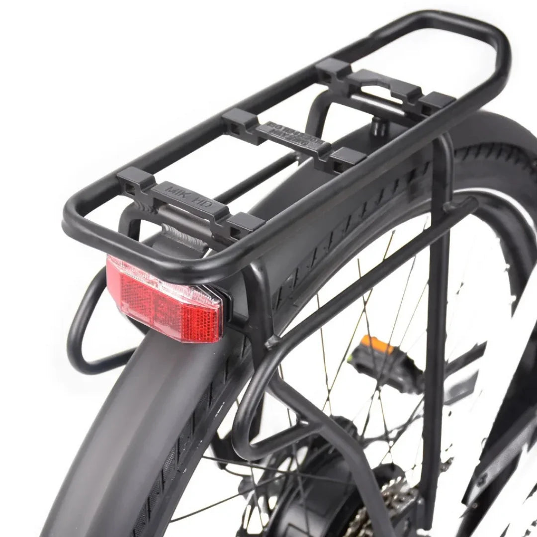 ECONO Apes CITY EER4 2026