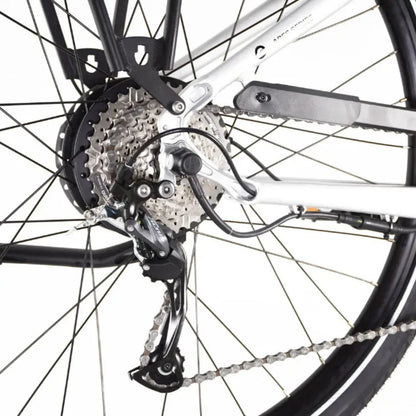 ECONO Apes CITY EER4 2026