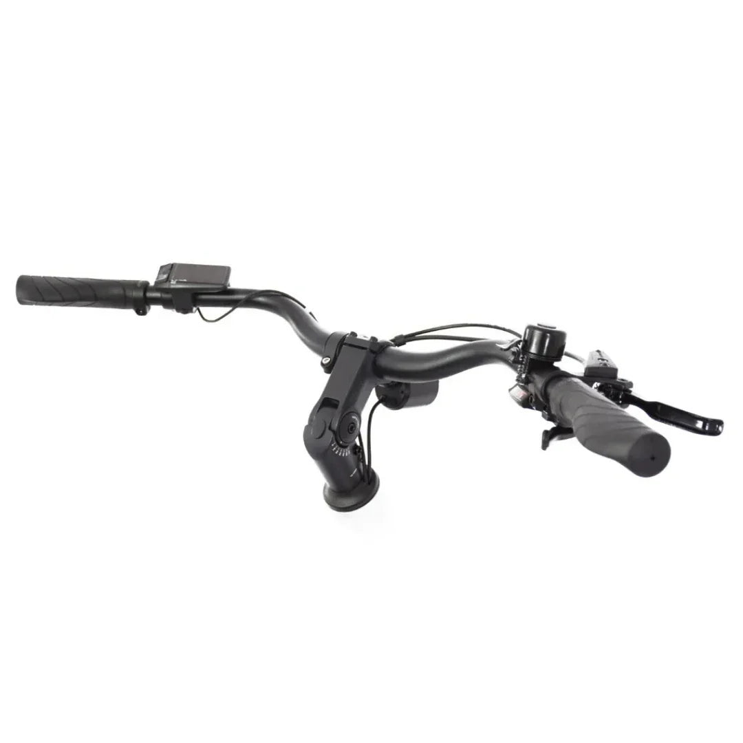 ECONO Apes CITY EER4 2026