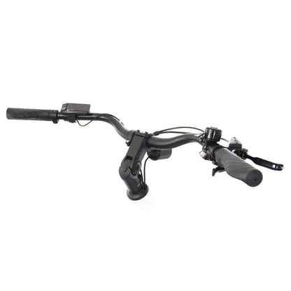 ECONO Apes CITY EER4 2026