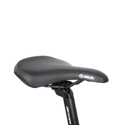 ECONO Apes CITY EER4 2026