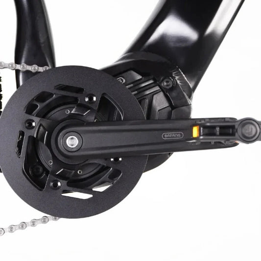 ECONO Gams MTB 29 C6 2026