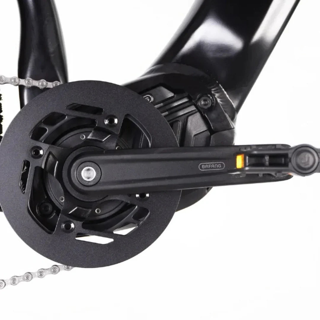 ECONO Gams MTB 29 C7 2026