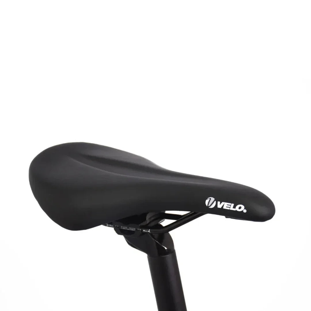 ECONO Gams MTB 29 C7 2026