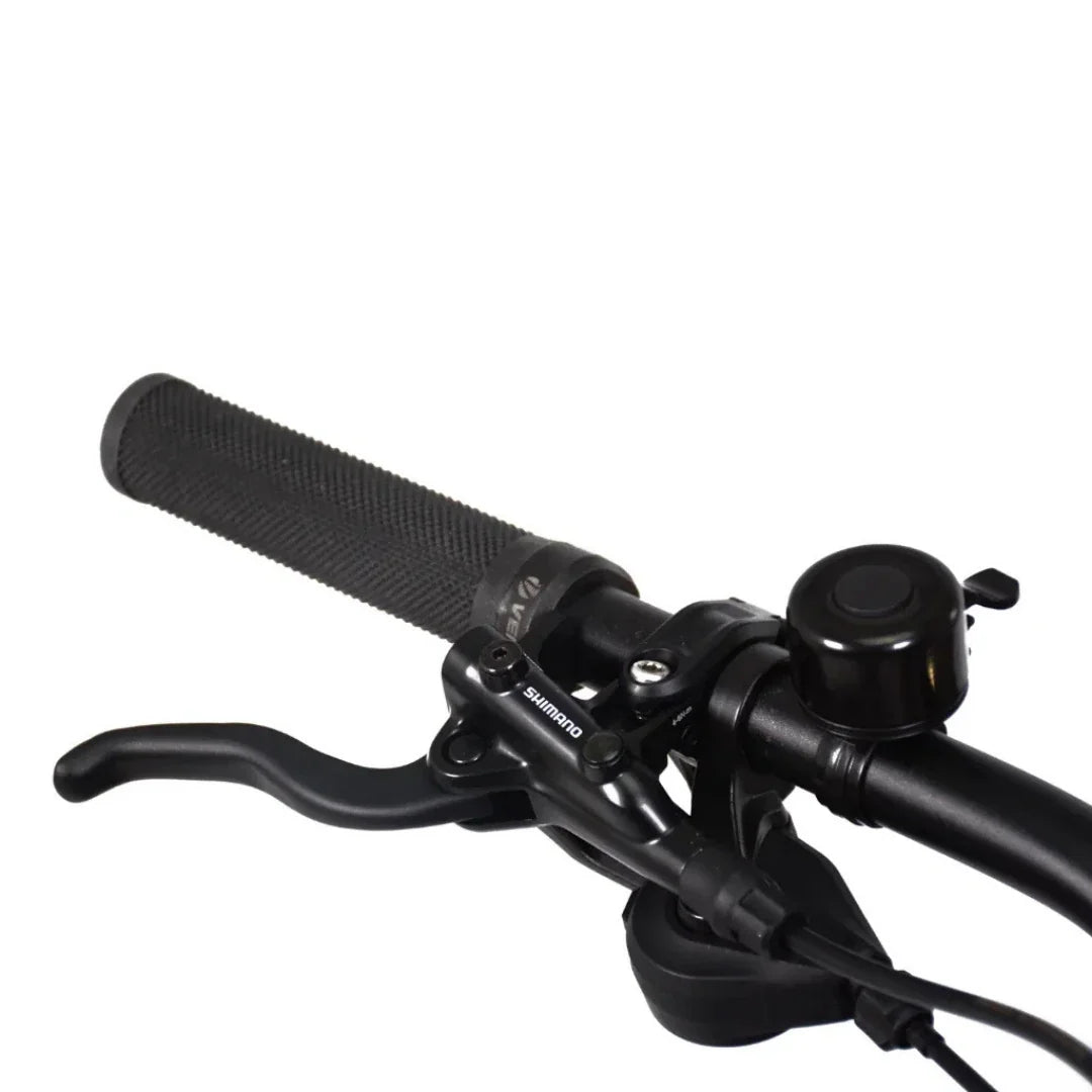 ECONO Gams MTB 29 C6 2026