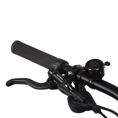 ECONO Gams MTB 29 C6 2026