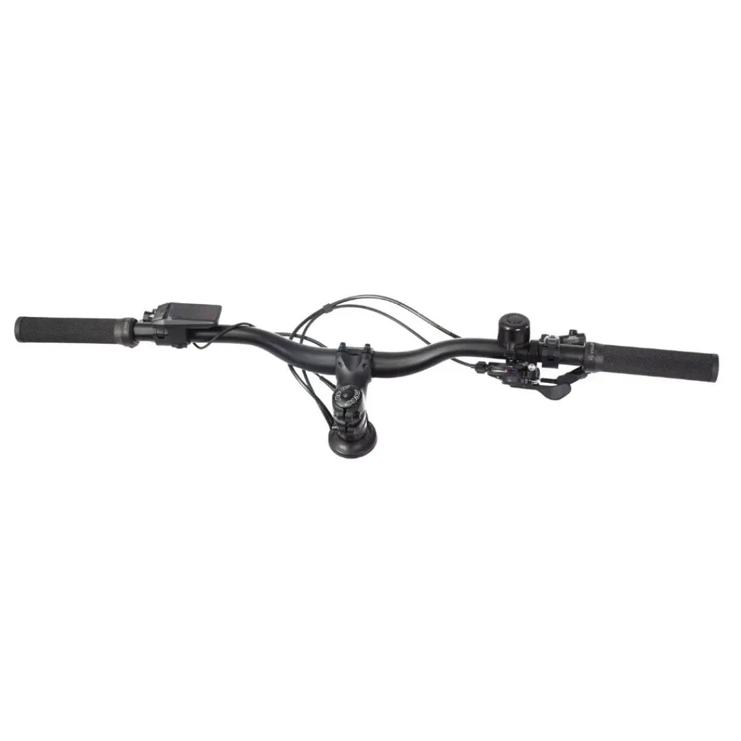 ECONO Gams MTB 29 EEC6 2026