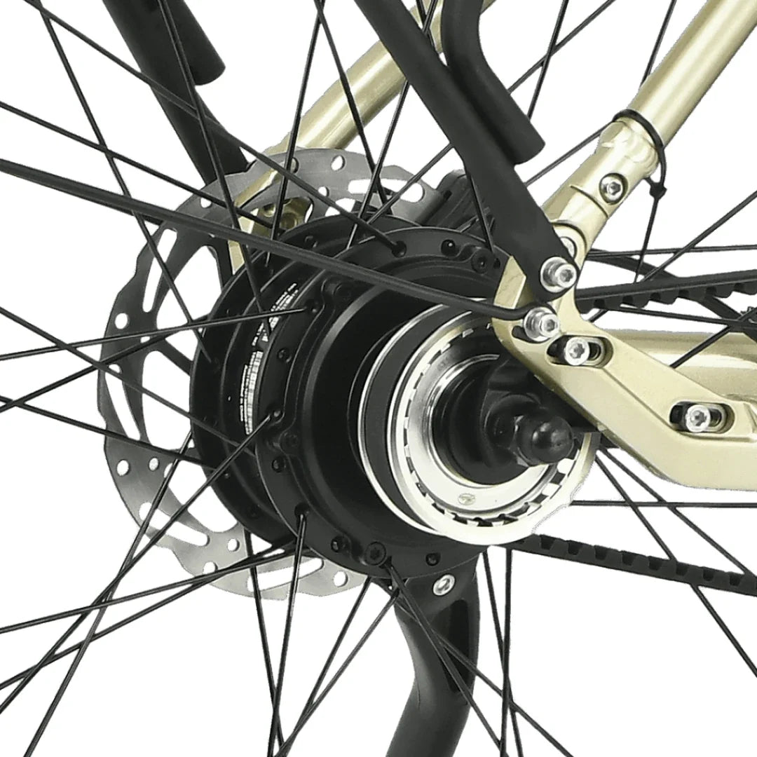 Electric bicycle MS Energy Zorya PLUS – rear wheel hub and disc brake