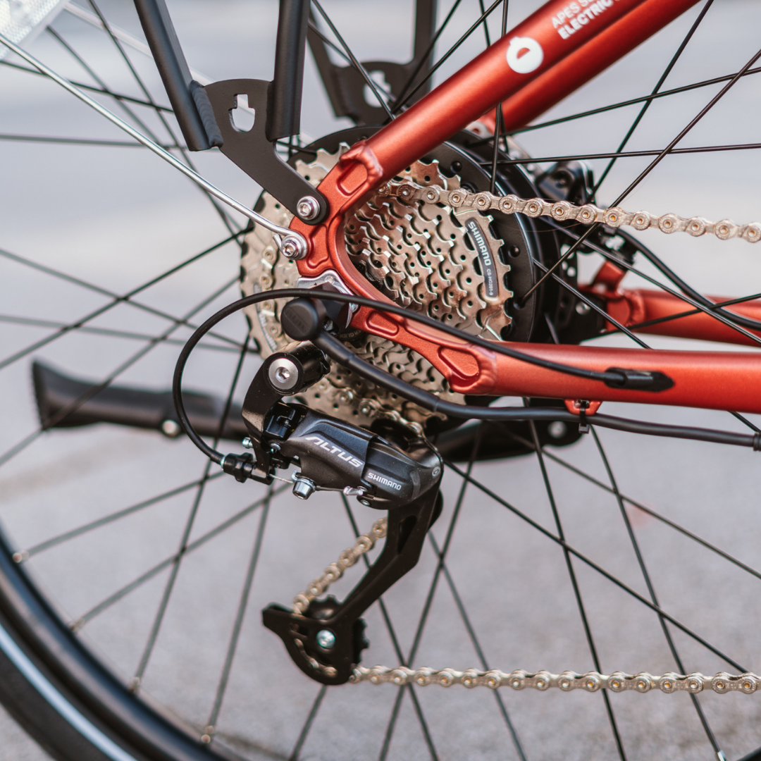 Electric bicycle ECONO Apes CITY EER4 – rear wheel, cassette, and derailleur close-up