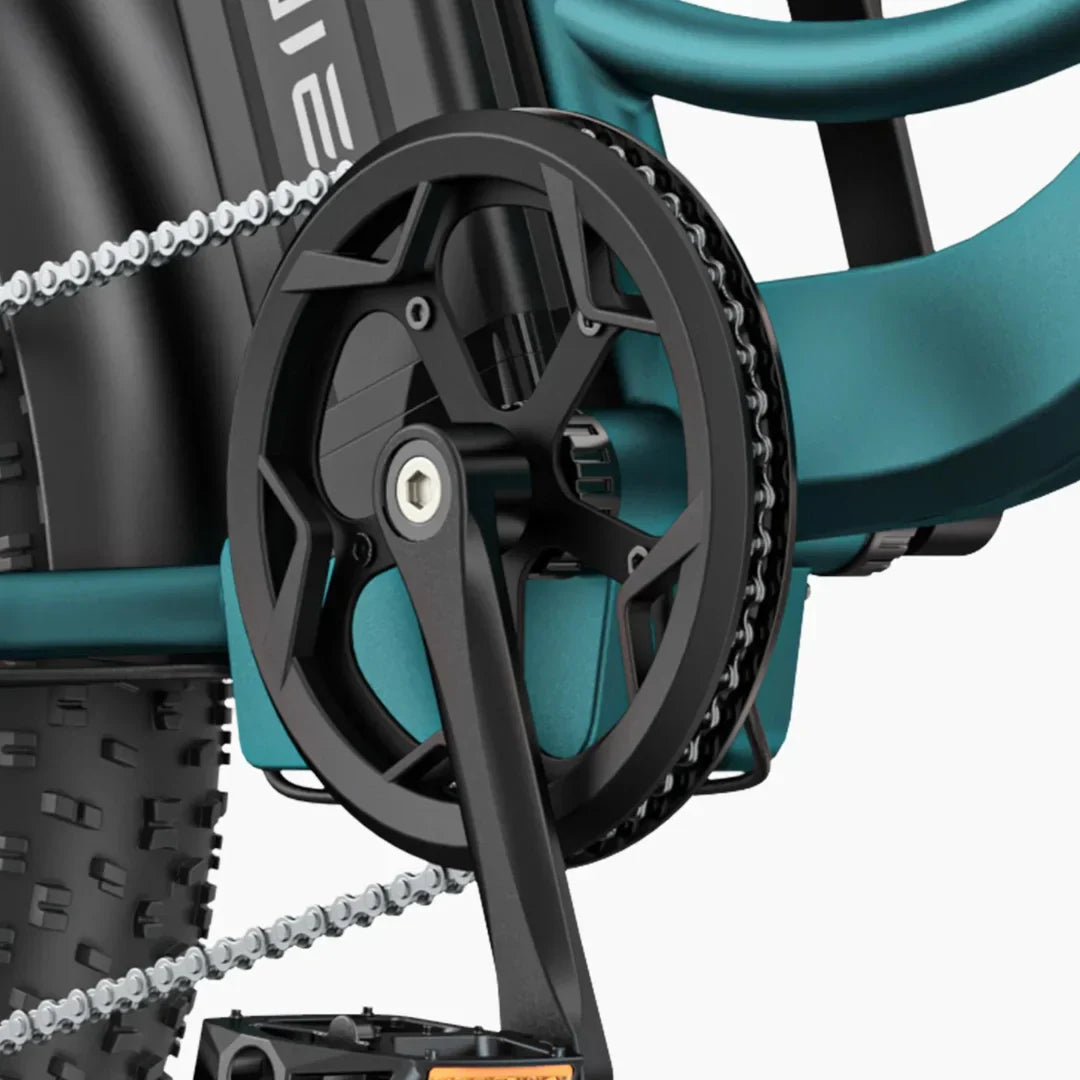 Electric bicycle Engwe L20 Boost – crankset and chain close-up