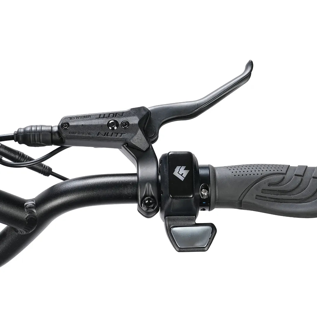 Electric Scooter Hiley Tiger 10 Gtr features a sleek handlebar with ergonomic grips, high-quality brake lever, and throttle control.