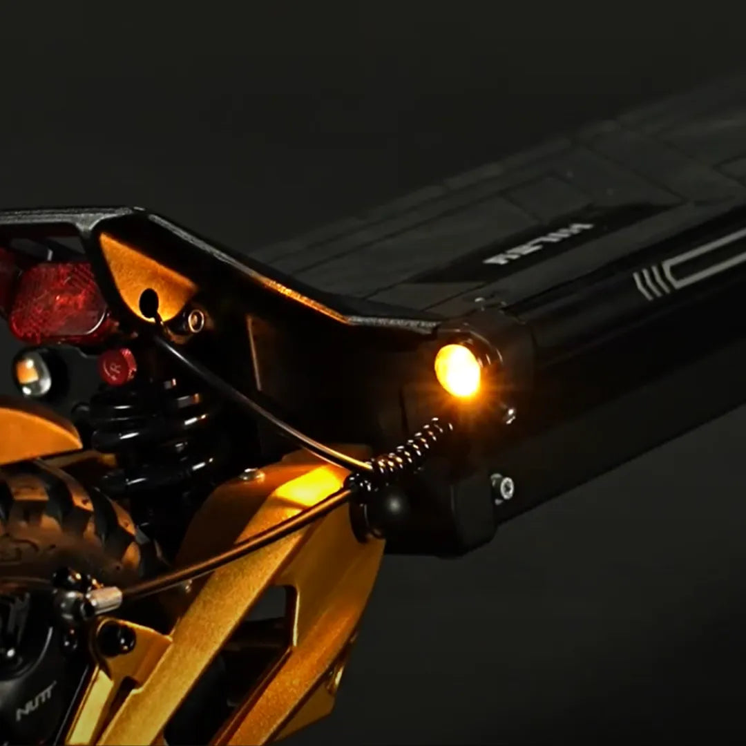 Electric Scooter Hiley Tiger King features a stylish design with illuminated details, showcasing quality materials and engineering.